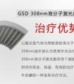 GSD 308nm׼ӼƤ